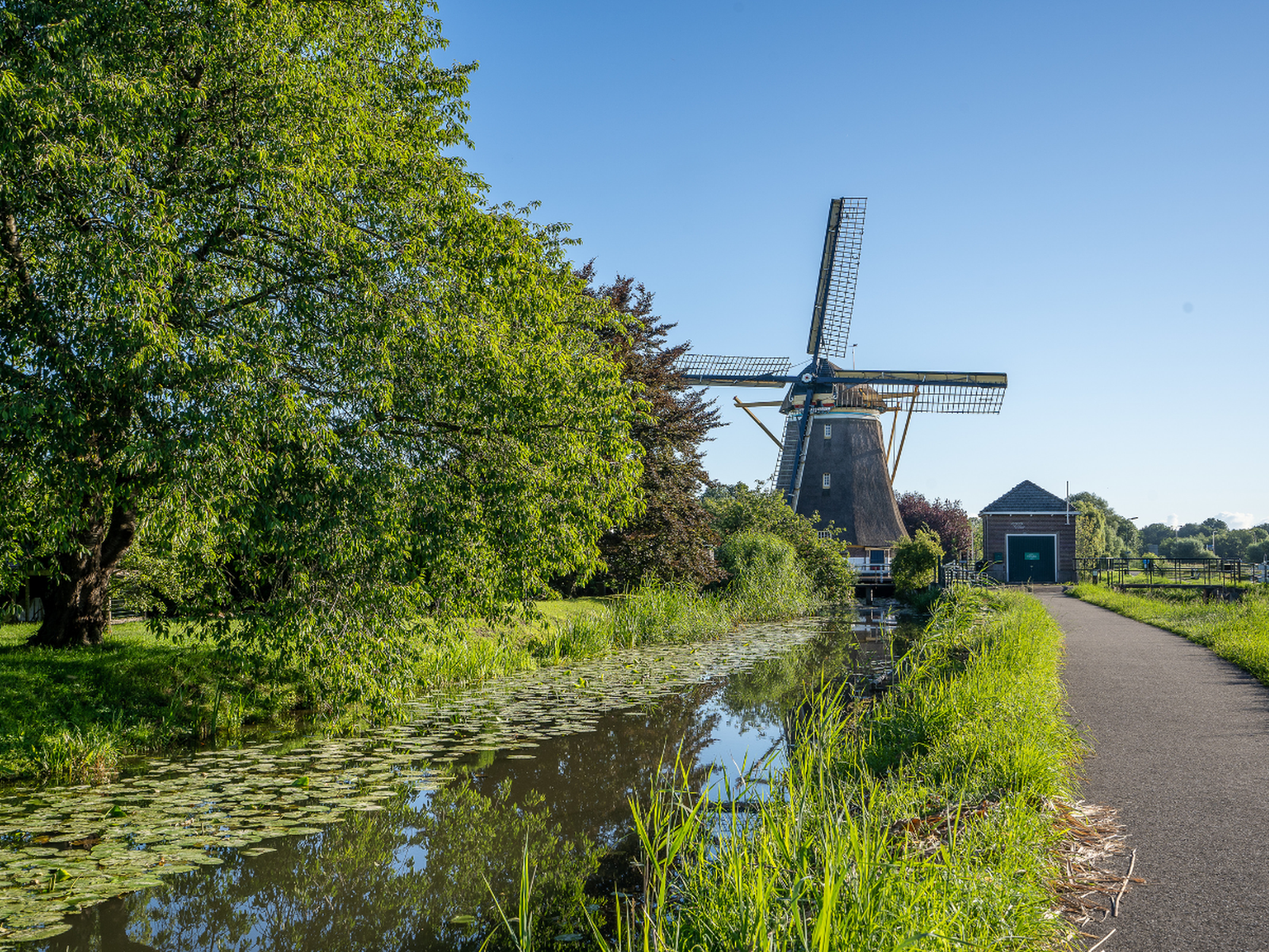 Países Bajos ocupa la primera posición