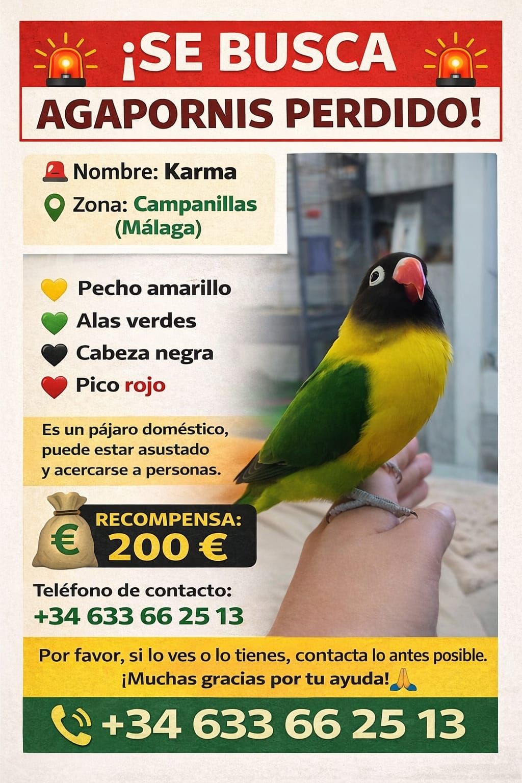 Cartel  de la búsqueda de Karma