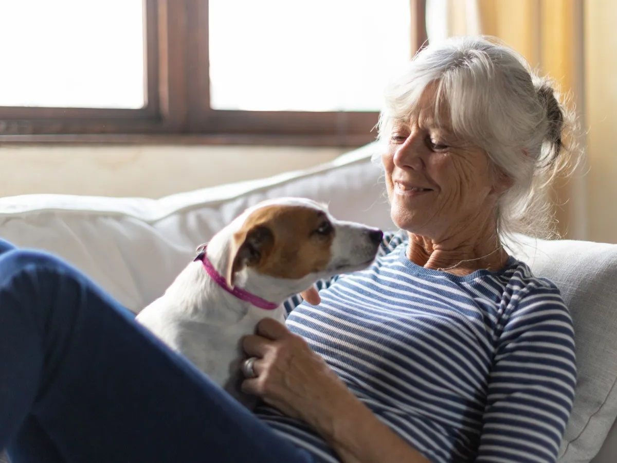 Cuidados para nuestras mascotas también de parte de Agencia Tributaria