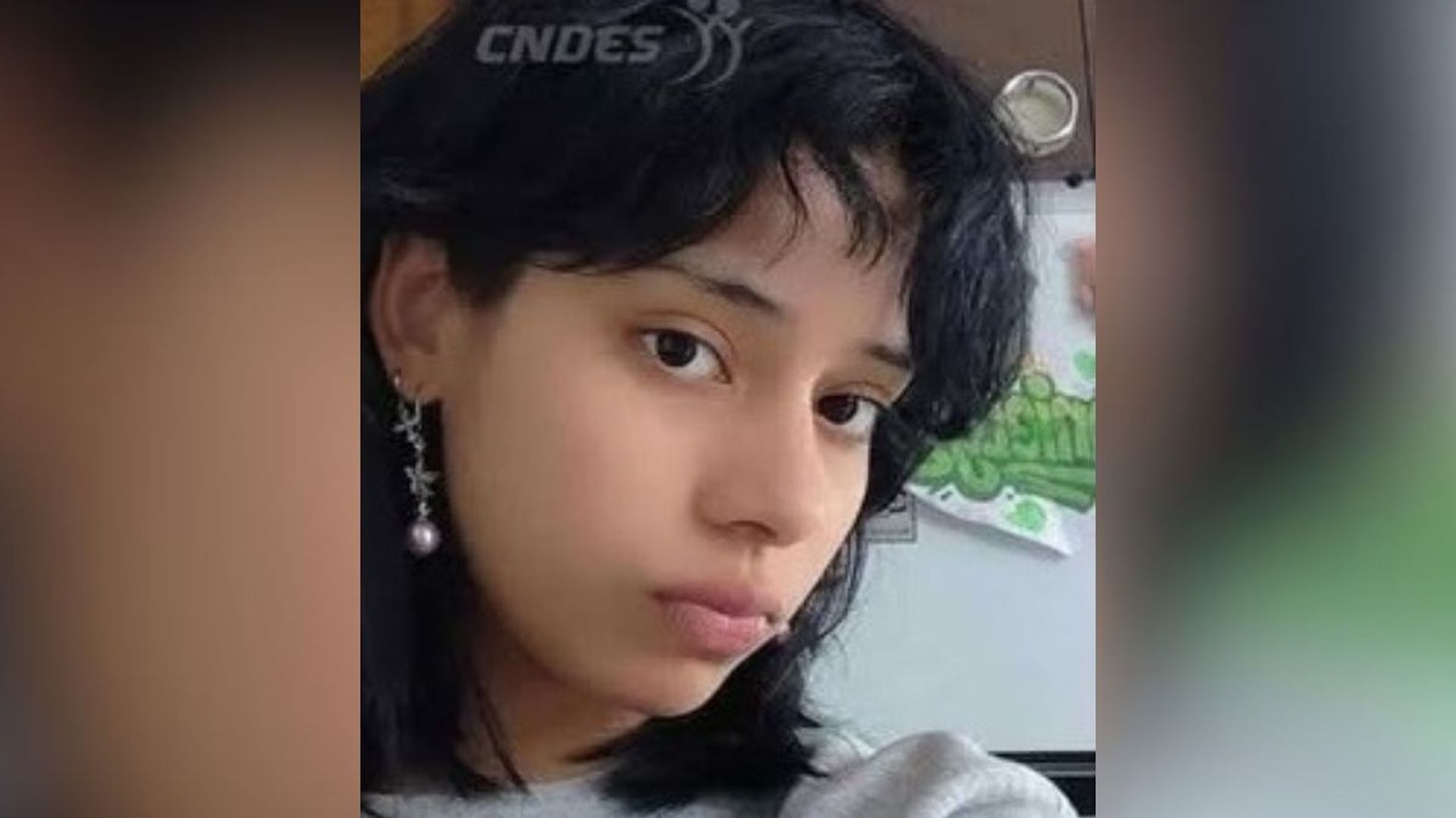Daniela Joselin M.C. en una imagen distribuida por el Centro Nacional de Personas Desaparecidas (CNDES) Daniela Joselin M.C. en una imagen distribuida por el Centro Nacional de Personas Desaparecidas (CNDES)