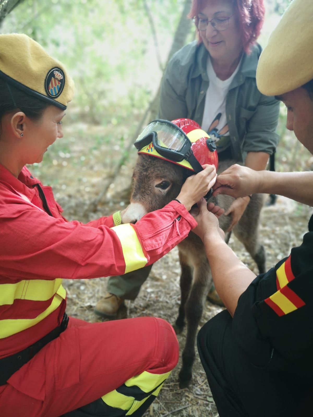 La UME con los burros bomberos de Doñana