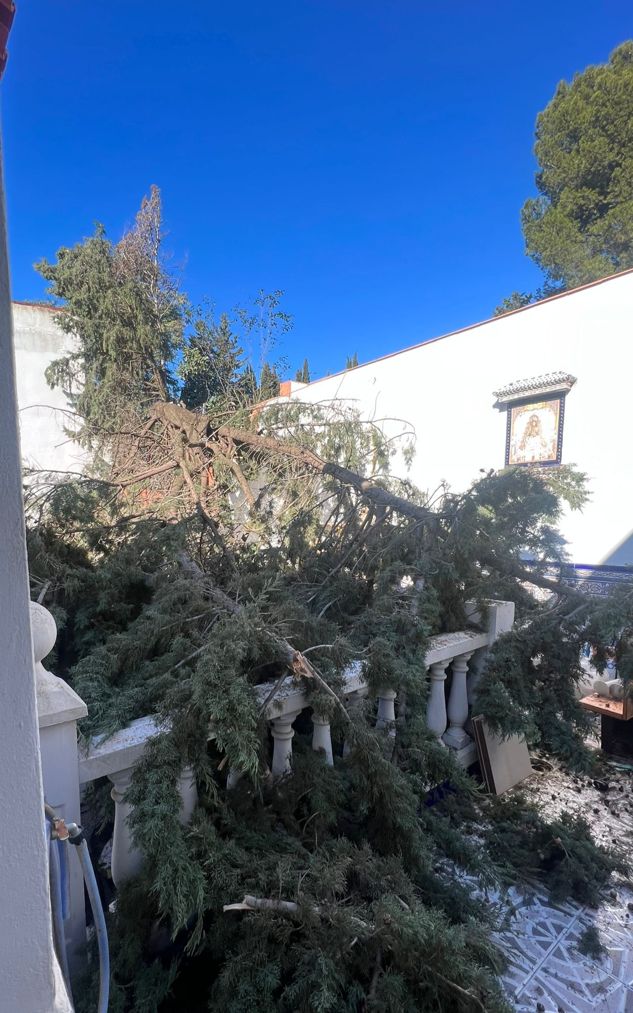 WhatsApp Image 2026-03-27 at 14.40.19