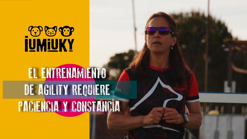 P312 - Los perros de competición Iumiuky Temporada 3 Programa 312