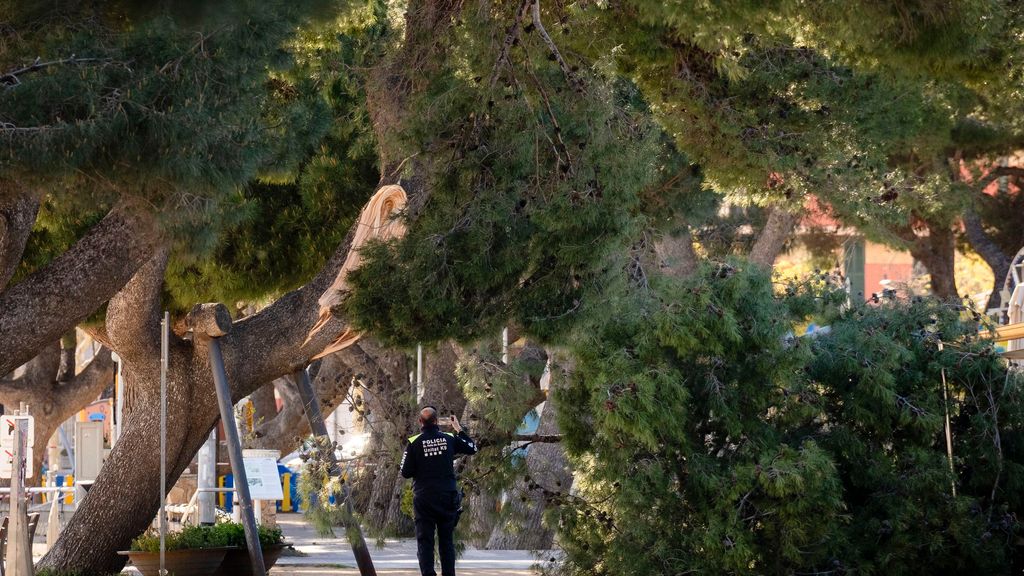 Así han sido las incidencias que se han producido debido a las fuertes rachas de viento registradas en España