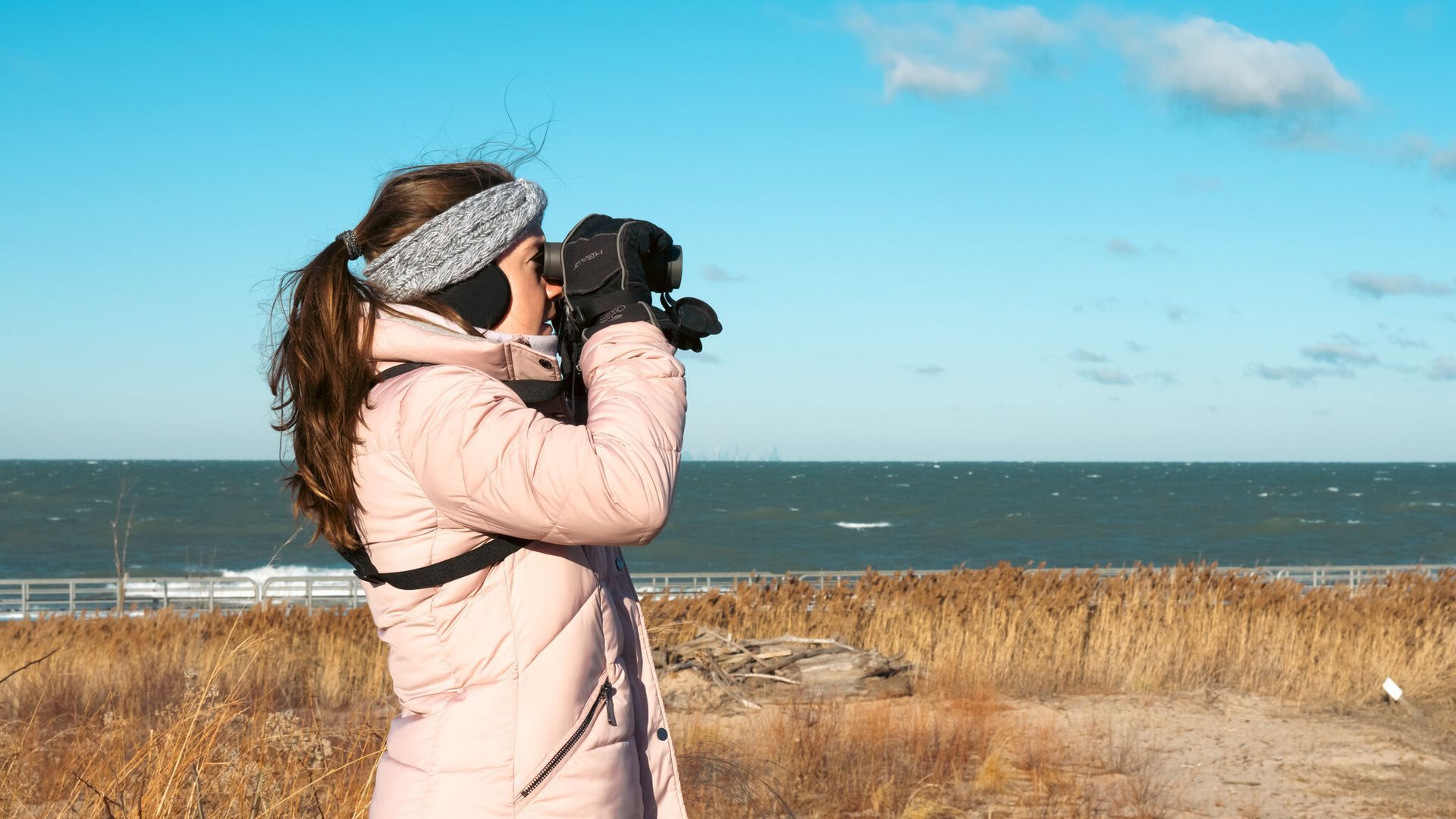 Buscando pájaros con los prismáticos
