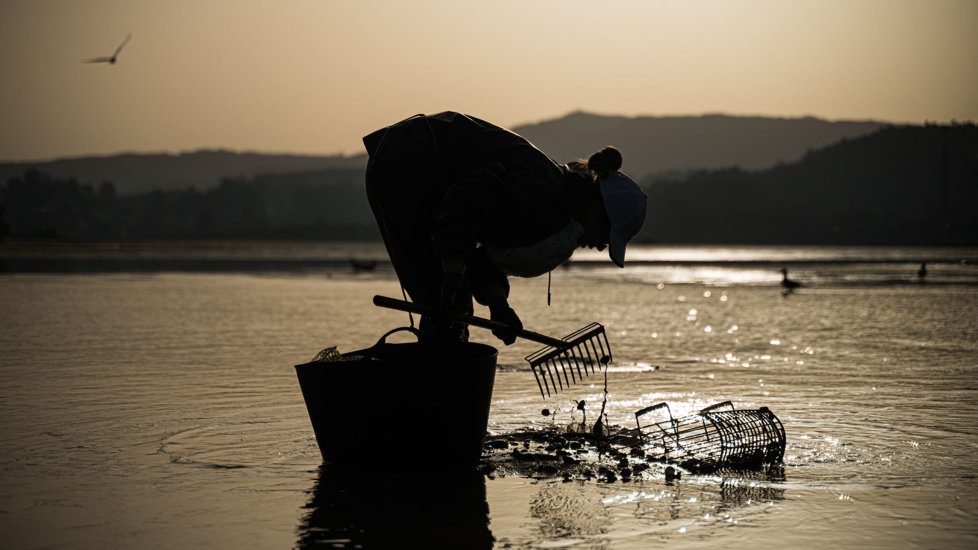 Muere una mariscadora tras ser arrastrada por un golpe de mar en Porto do Son, A Coruña Muere una mariscadora tras ser arrastrada por un golpe de mar en Porto do Son, A Coruña