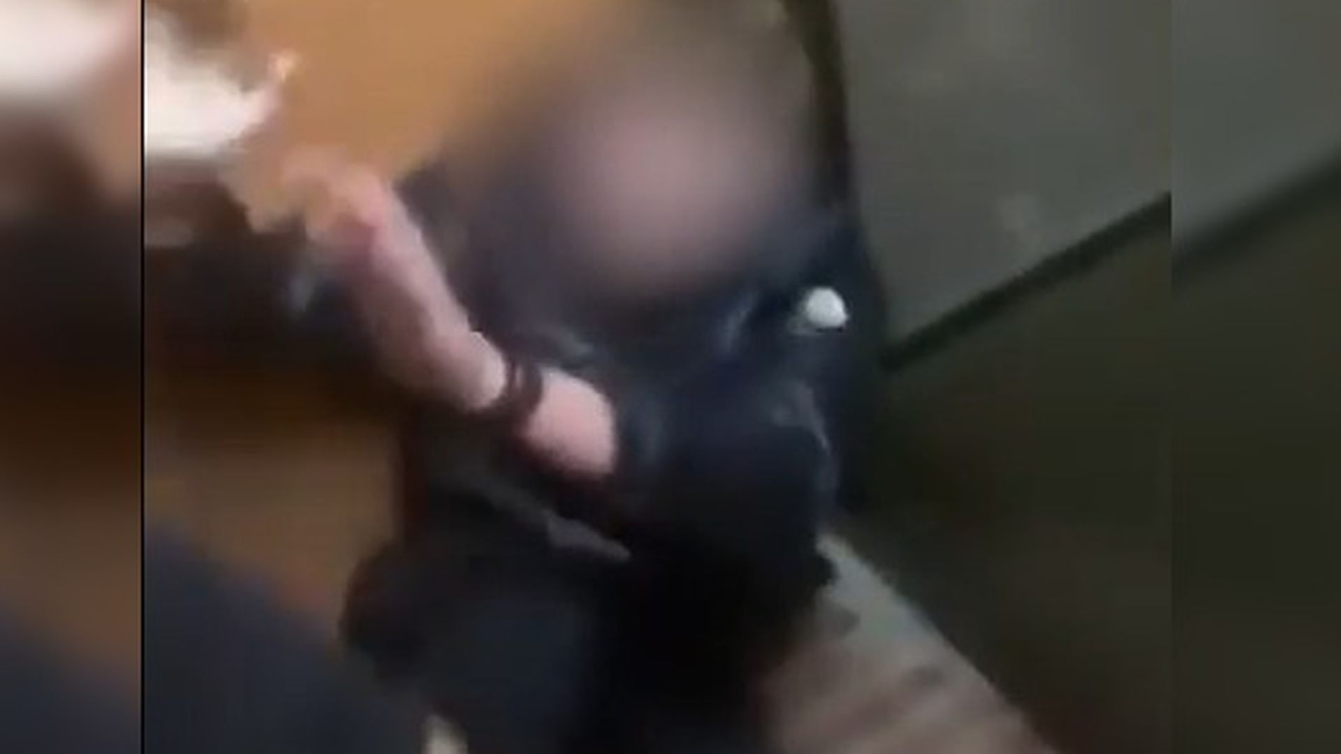 Investigan una agresión grupal al joven que dio una brutal paliza a otro con discapacidad en L'Arboç, Tarragona: "Pide perdón"