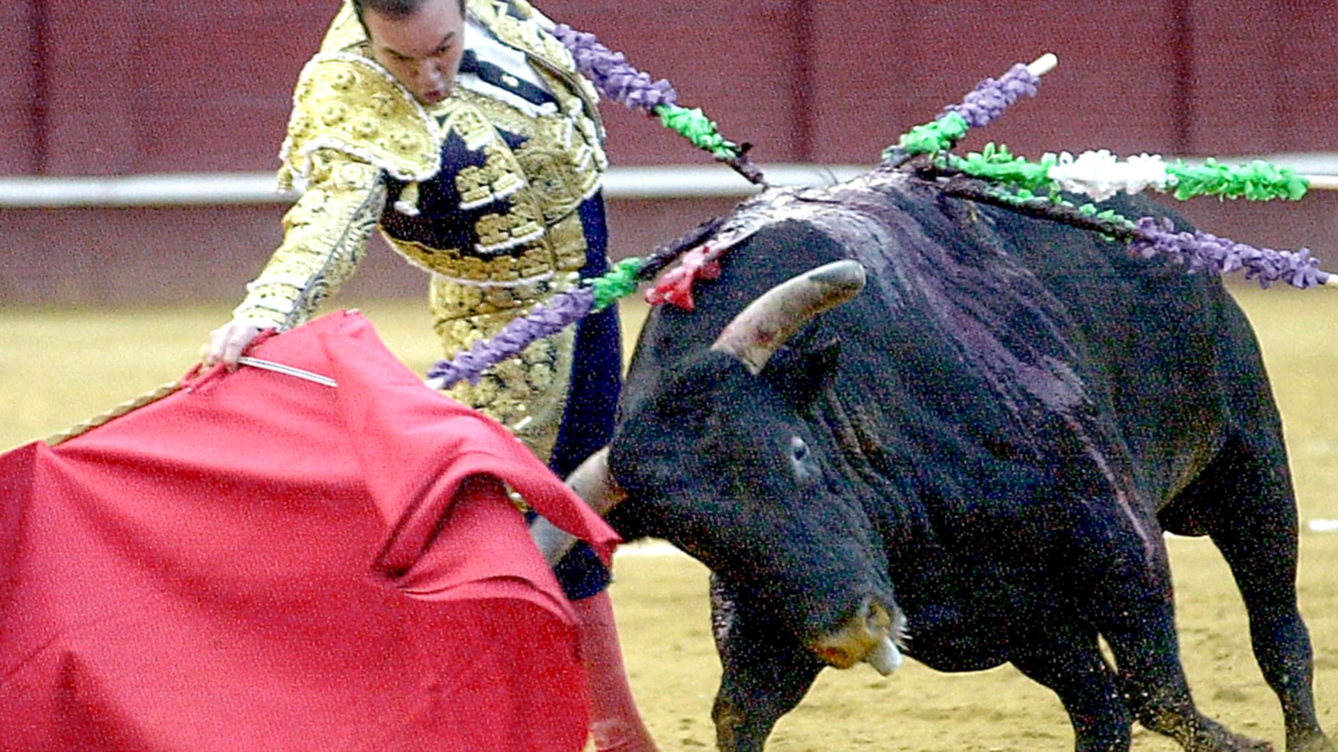 Muere Ricardo Ortiz, extorero