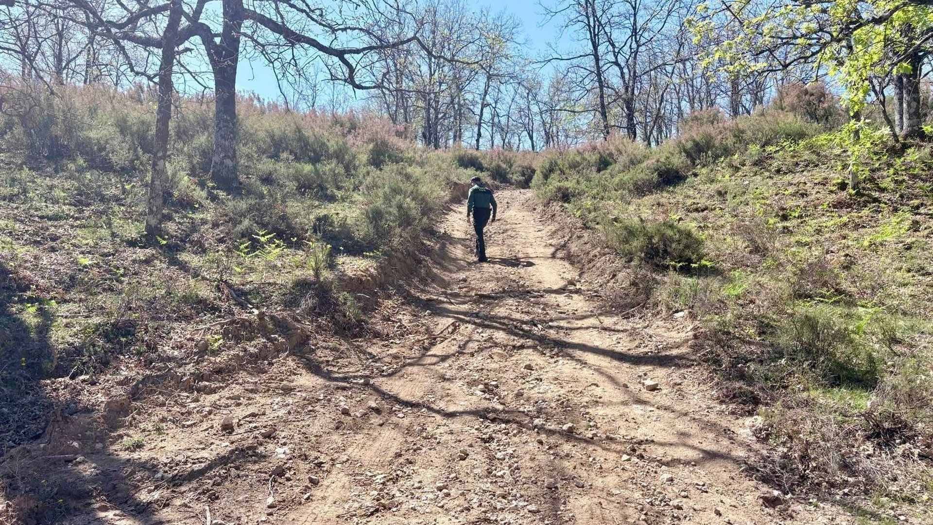 Agente de la Guardia Civil participa en la búsqueda de un hombre de 74 años desaparecido en Jarandilla de la Vera, Cáceres