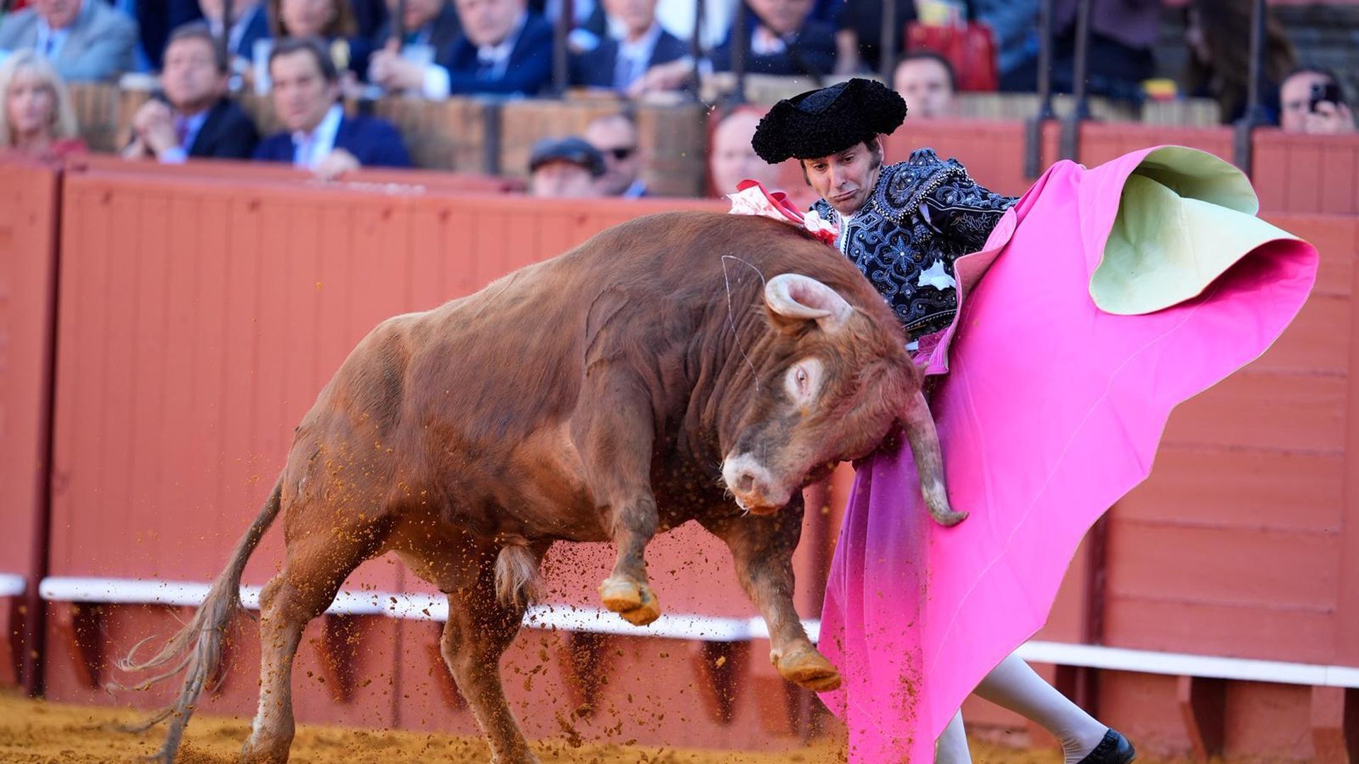 Morante de la Puebla, toreando en La Maestranza