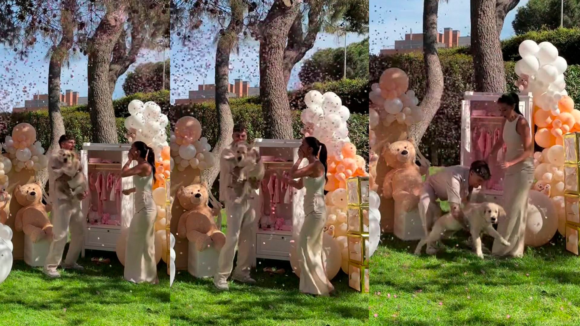 El momento en el que el perro se asusta durante el 'gender reveal'