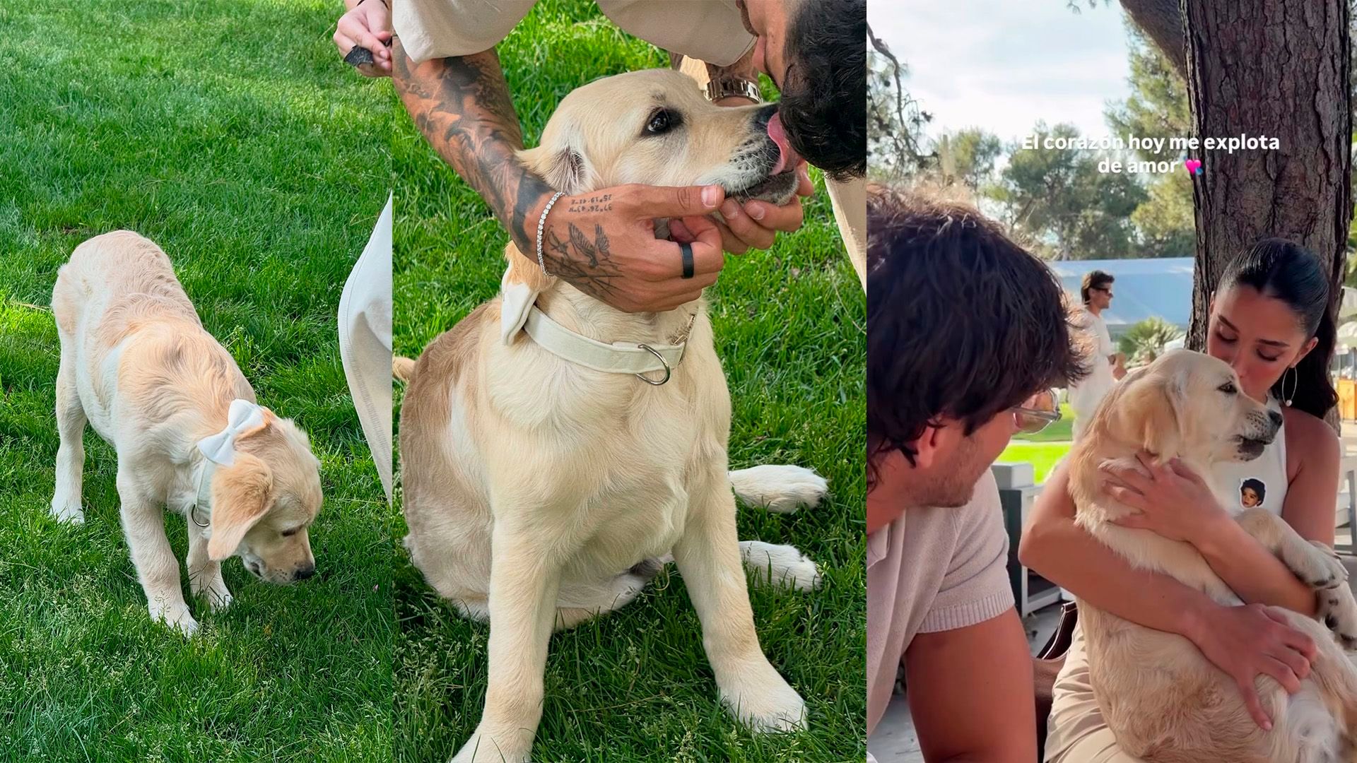 Imágenes de Cody el resto del día