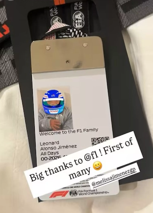 La imagen compartida por Fernando Alonso