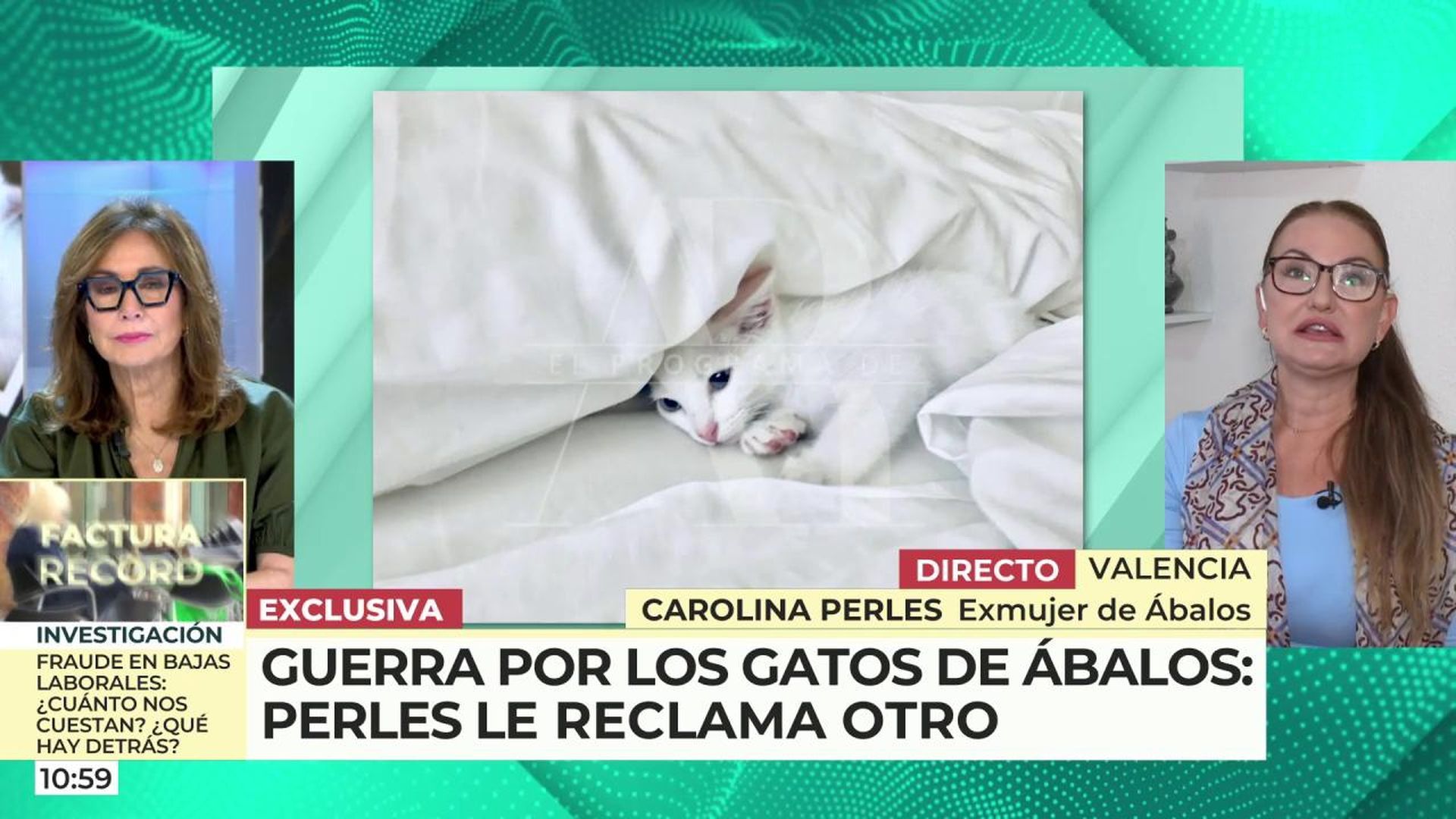 Carolina Perles reclama a Ábalos el gato que le regaló a su hijo