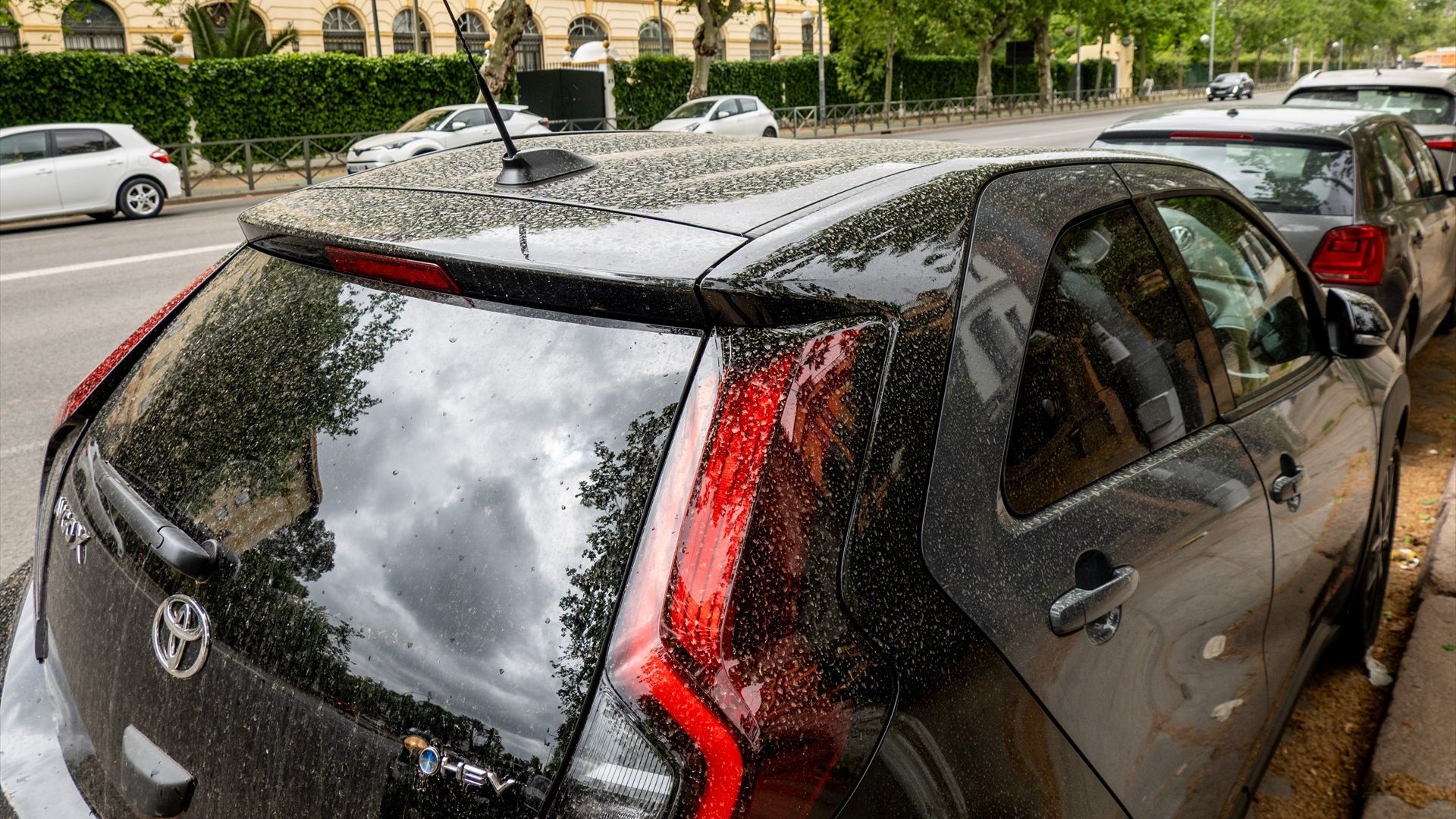 Una sentencia anula la retirada del carné a un conductor con problemas de salud mental Una sentencia anula la retirada del carné a un conductor con problemas de salud mental