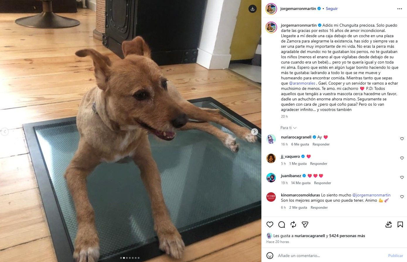 Chunguita, la perra de Jorge Marrón