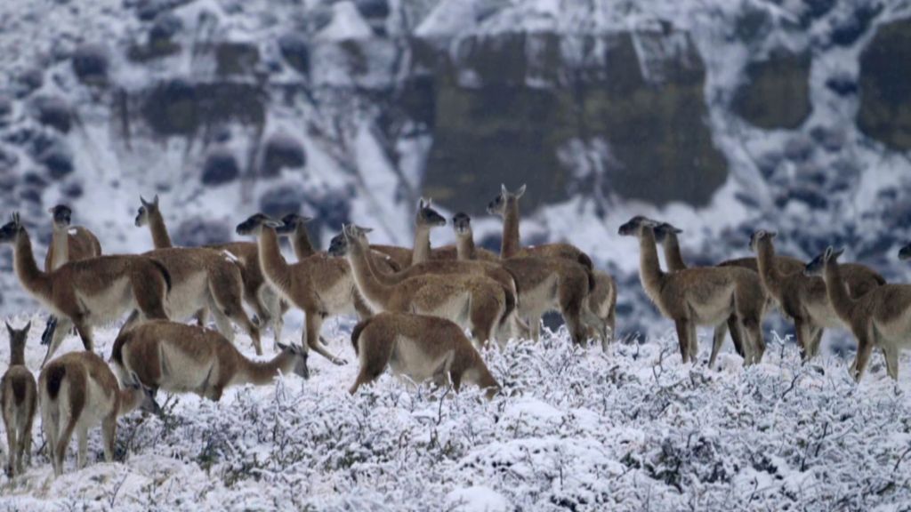 P342 - Chile, Roma y Lanzarote Planes Cuatro Temporada 4 Programa 342