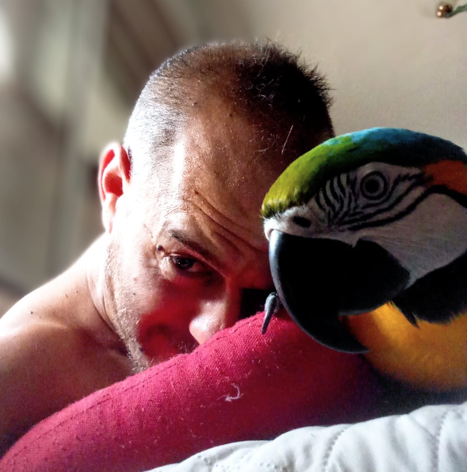 Currito con su dueño