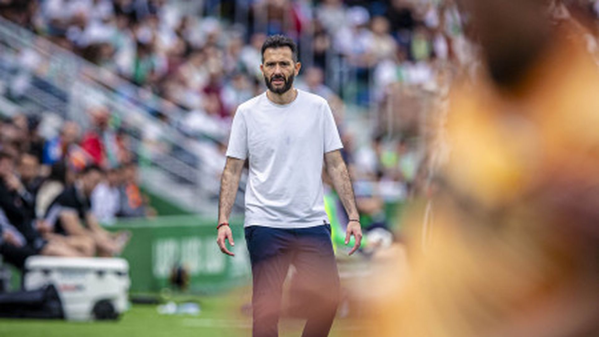 Carlos Corberán, en Elche