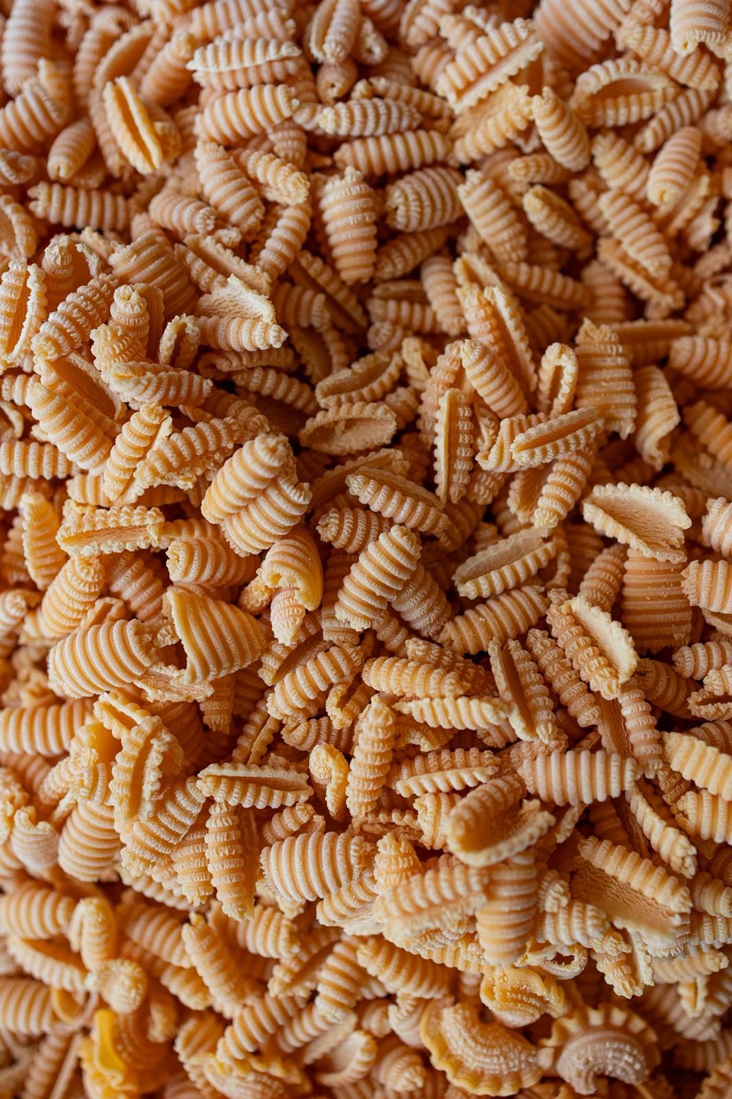 Ve pensando en la salsa que vas a elegir para estos malloreddus (gnocchetti sardi)