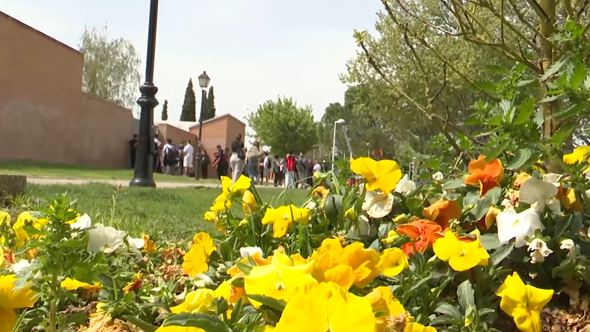 Niños asisten al Centro Cultural La Despernada en Villanueva a dejar flores por David
