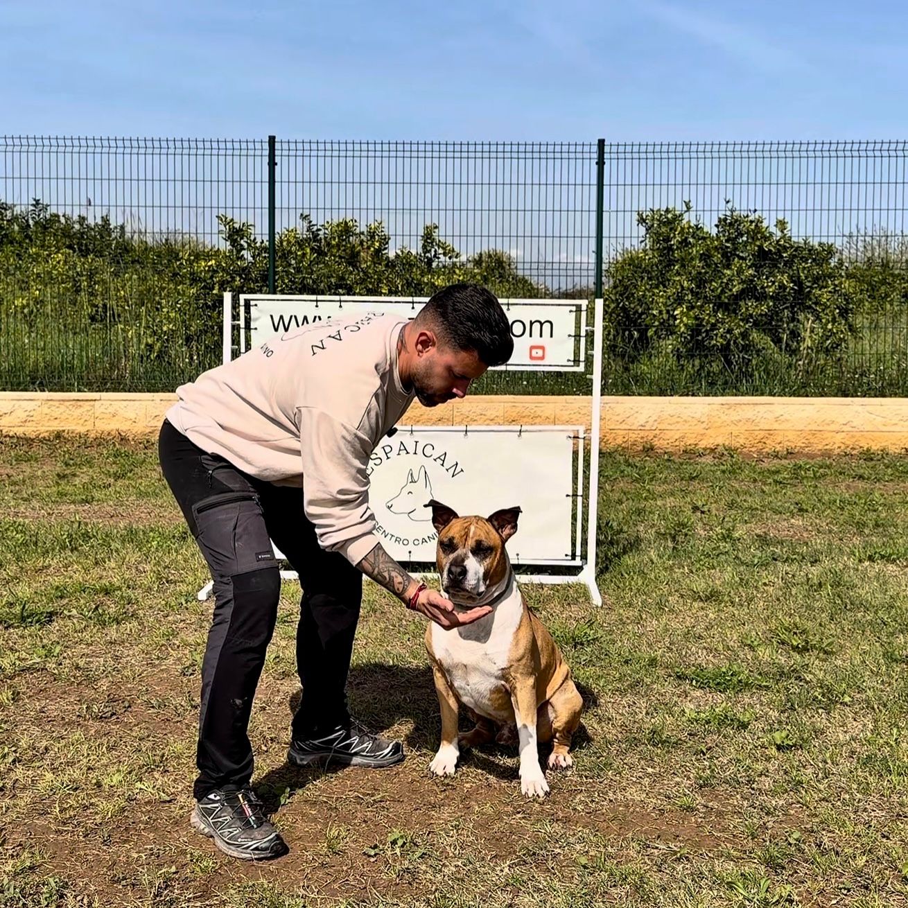 Vicente, adiestrador canino