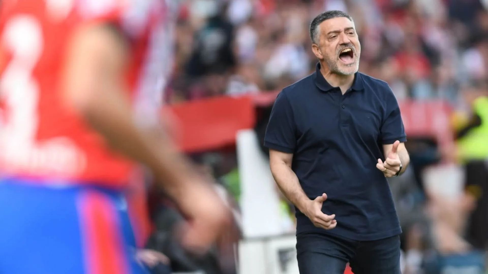 Xavier García Pimienta, en un Sevilla - Atlético de Madrid