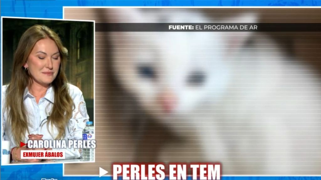 Carolina Perles se emociona en 'Todo es mentira' al recordar las actitudes de su hijo con Ábalos sobre la gata perdida: "Prefiere renunciar a ella"
