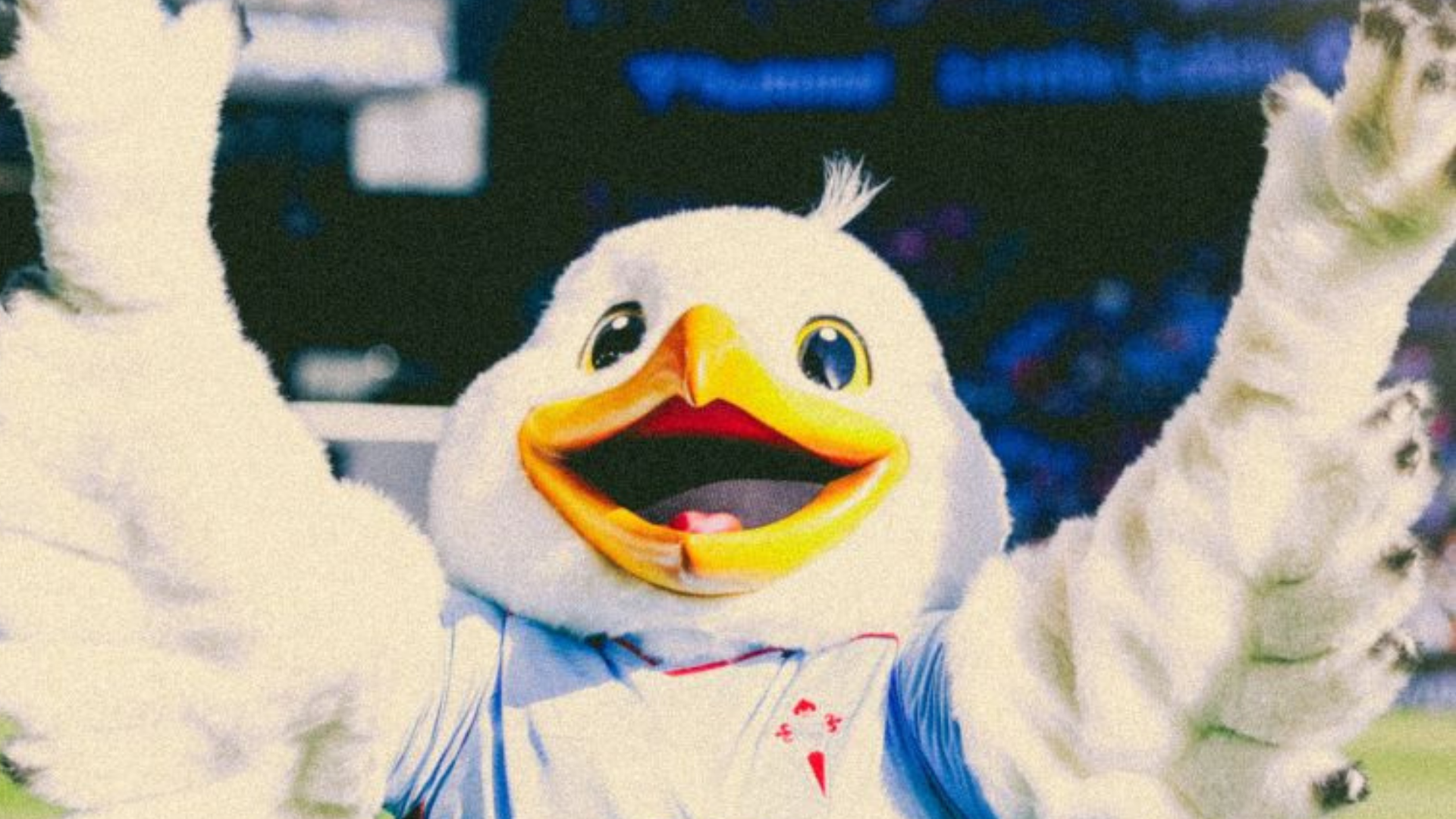 Chiño, nueva mascota del Celta Chiño, nueva mascota del Celta