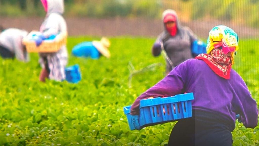 Los migrantes regulares aportan más que lo que cuestan al Estado los que están en situación irregular