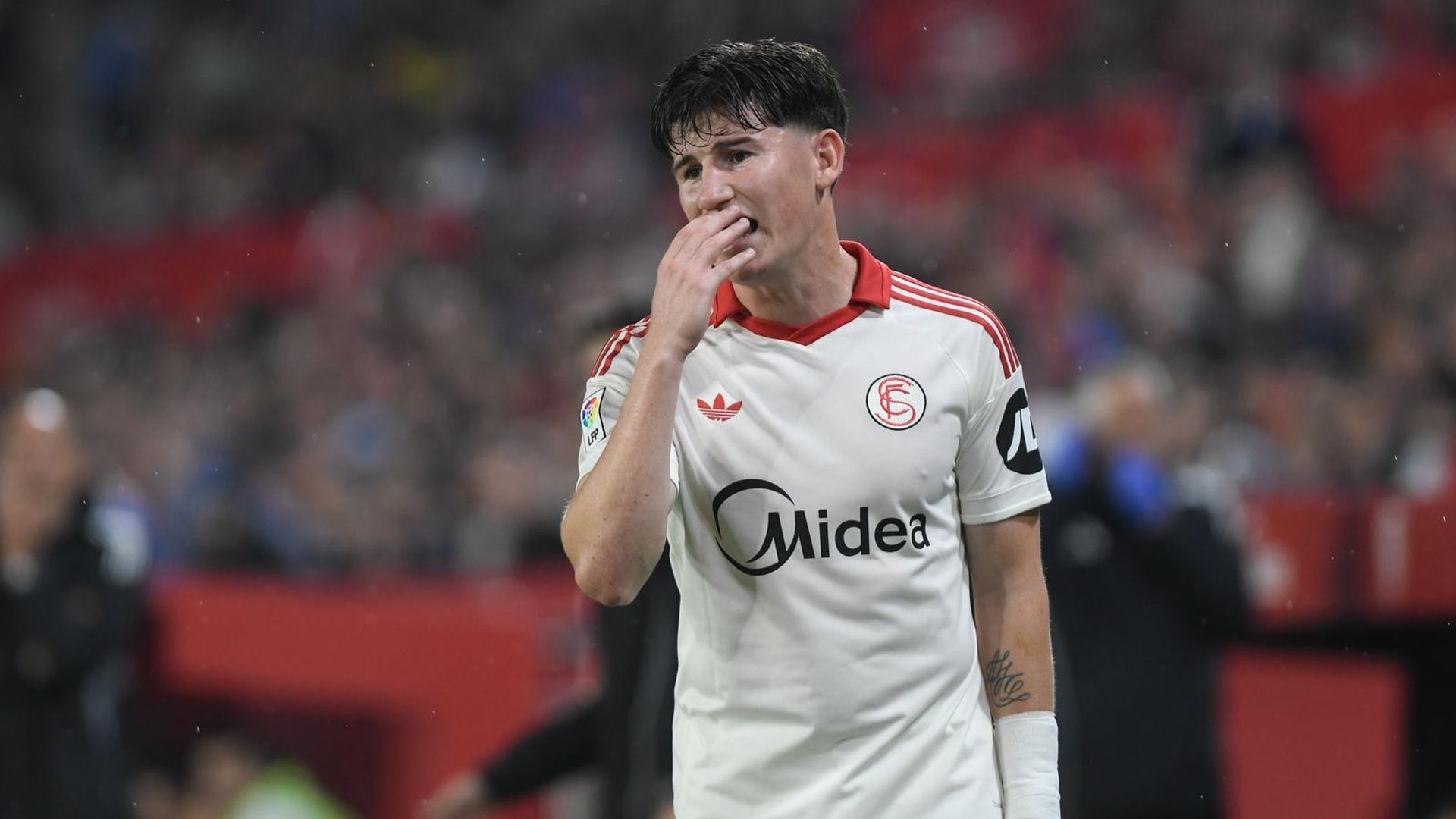 Oso, en el Sevilla - Atlético de Madrid Oso, en el Sevilla - Atlético de Madrid