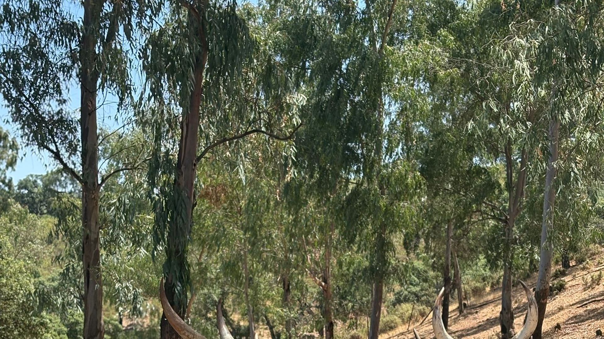 WhatsApp Image 2026-04-10 at 15.42.36 WhatsApp Image 2026-04-10 at 15.42.36