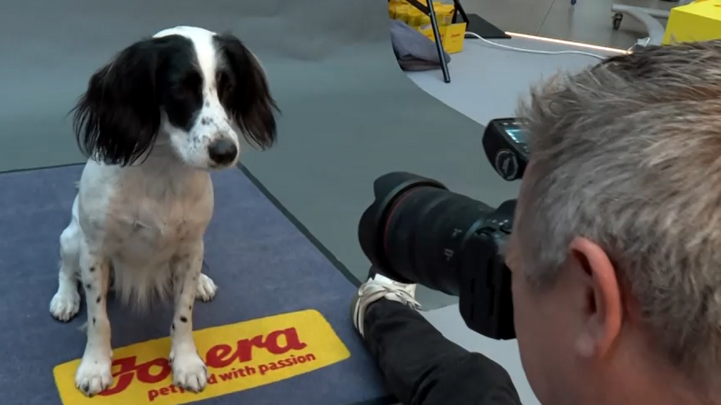 Así consigue el fotógrafo Christian Bieler las imágenes más divertidas de perros en Barcelona