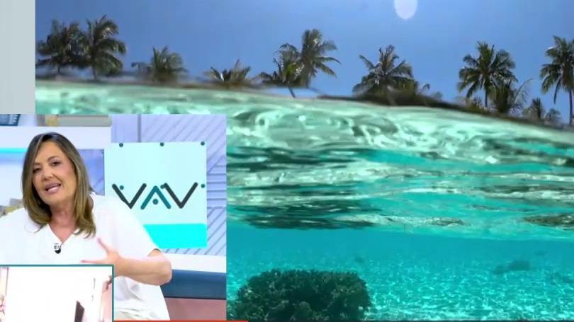 Mayka Navarro cuenta su experiencia nadando con tiburones: 