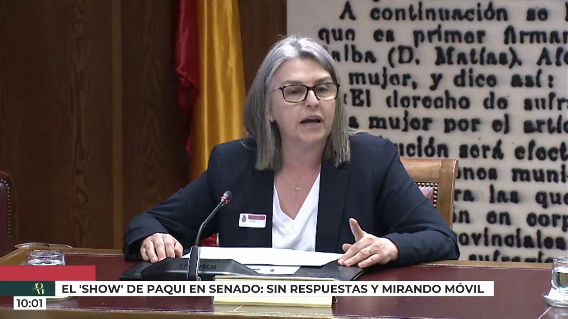 La mujer de Santos Cerdán declara en el Senado