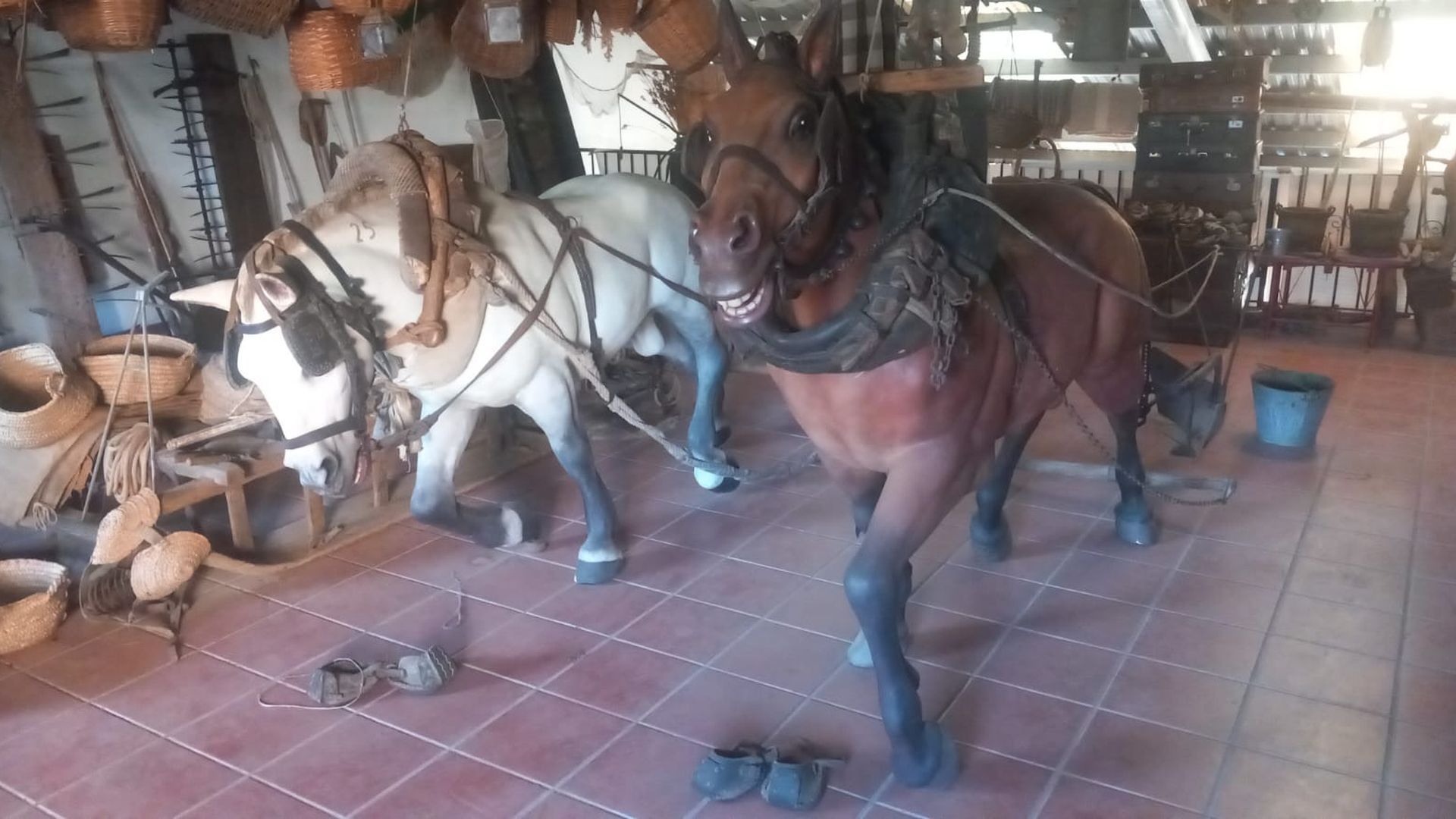 Tiene dos reproducciones de caballos a tamaño real