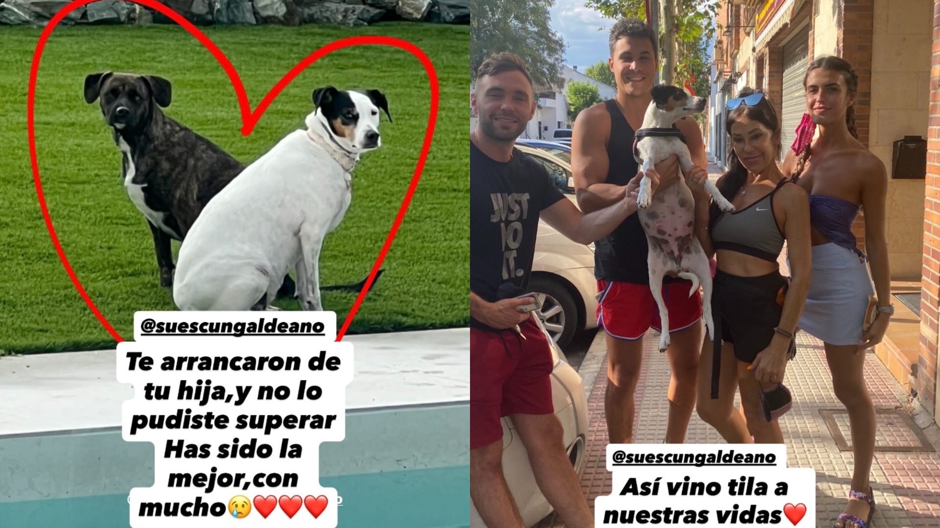 El dardo de Maite a su hija, Sofía