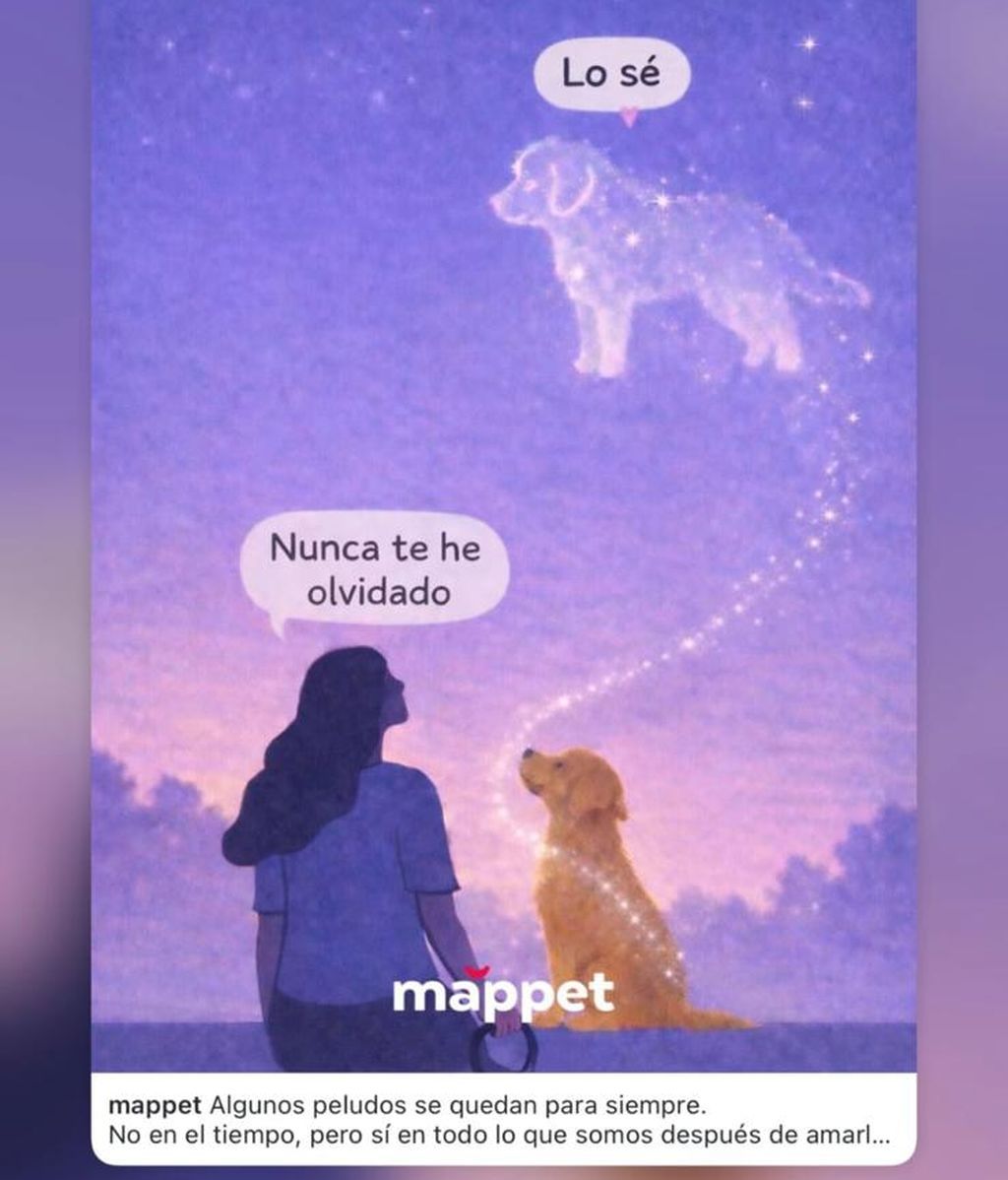 El sentido homenaje de Sofía Suescun tras el fallecimiento de la mascota de Maite Galdeano