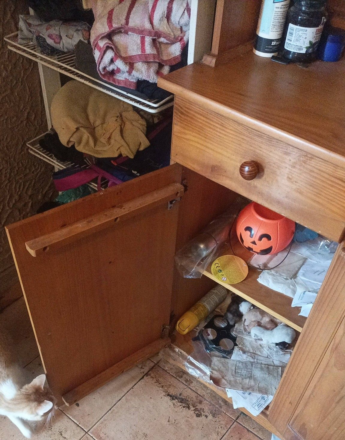 Mueble donde estaban escondidas las gatas con sus crías recién nacidas