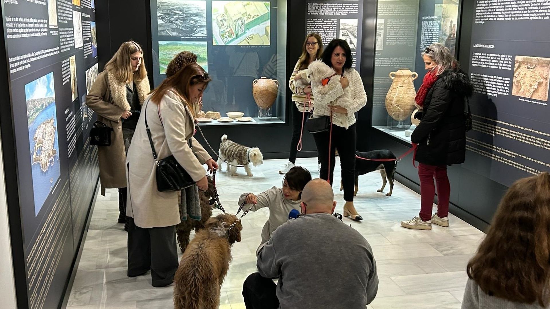 El ayuntamiento de Vélez-Málaga celebró la festividad de San Antón permitiendo el acceso de perros a sus museos de forma excepcional