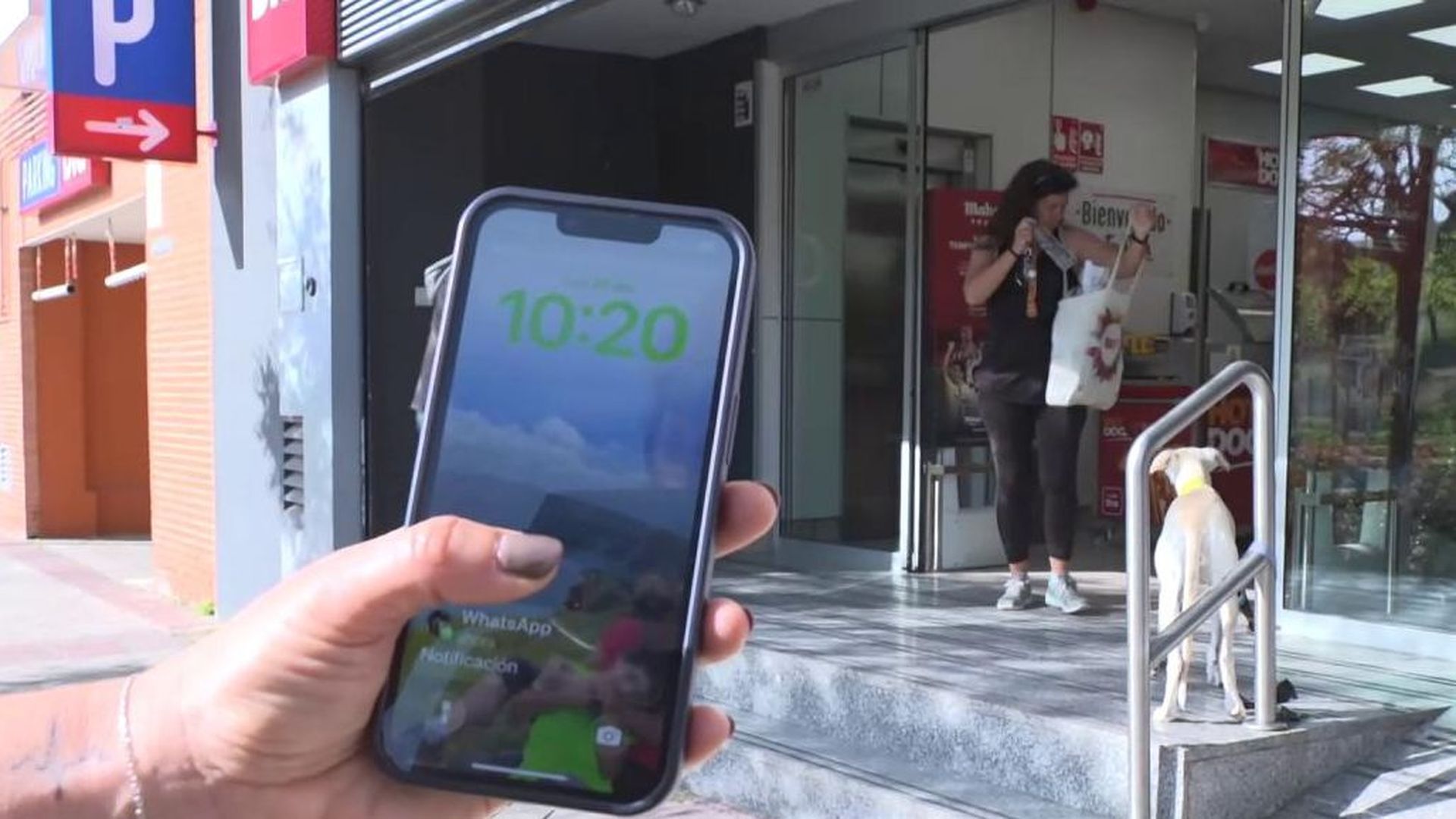 Ya te pueden mulltar por soltar al perro en zonas públicas o dejarlo atado en la puerta de un supermercado: "Lo voy a seguir haciendo"