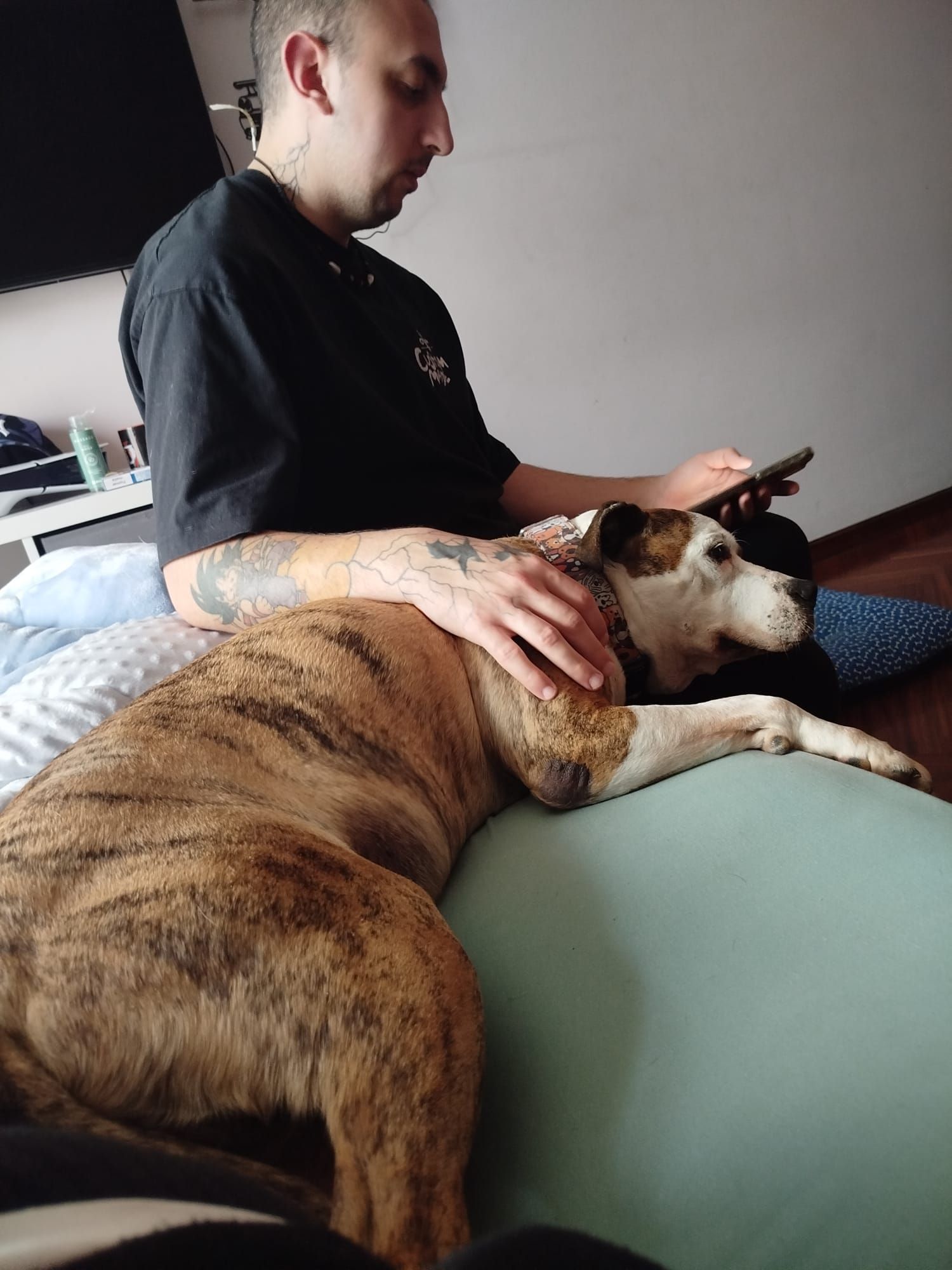 Capi era el perro más veterano de la protectora Moura y ahora está con su nueva familia