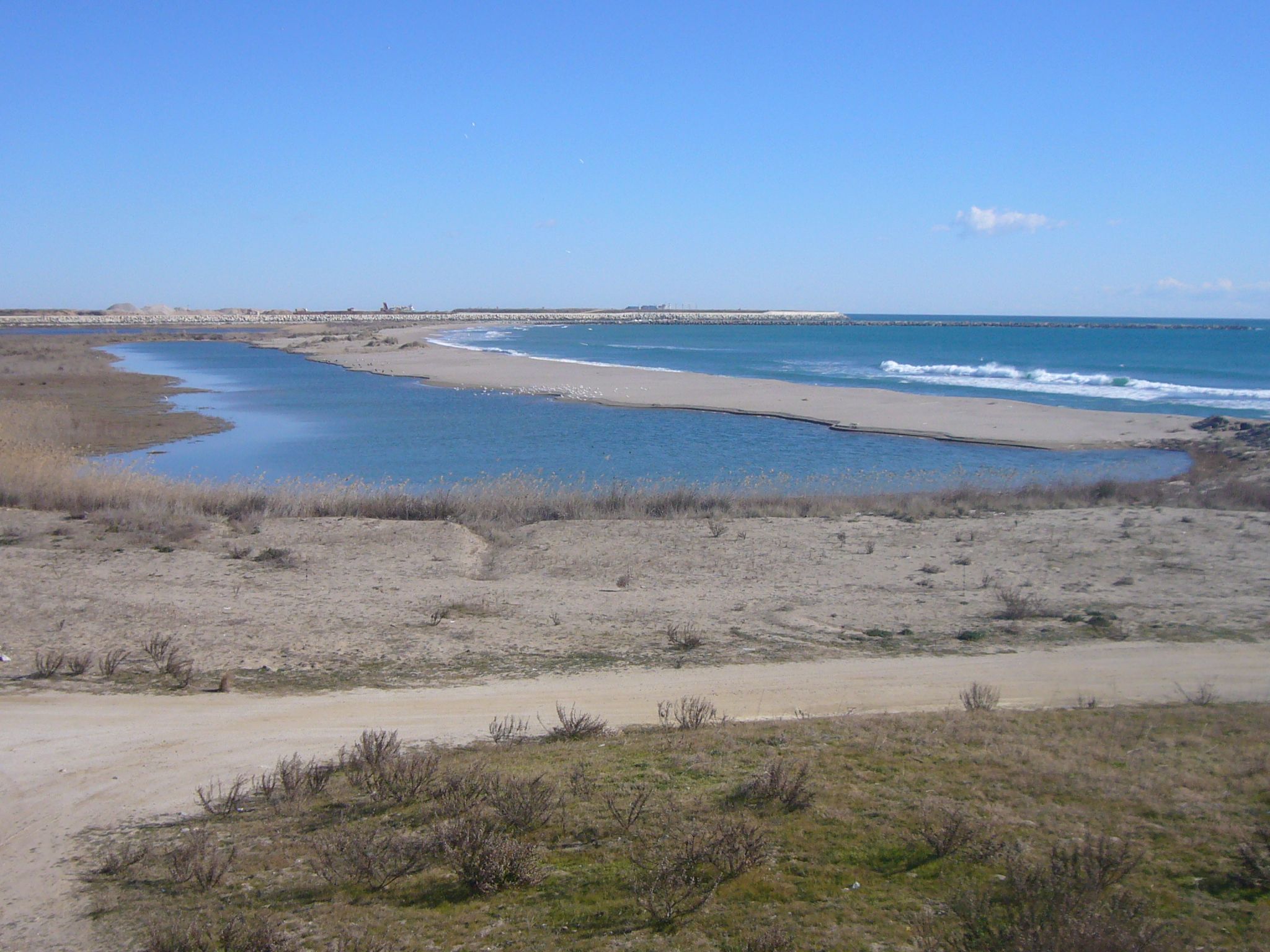 Delta del Llobregat