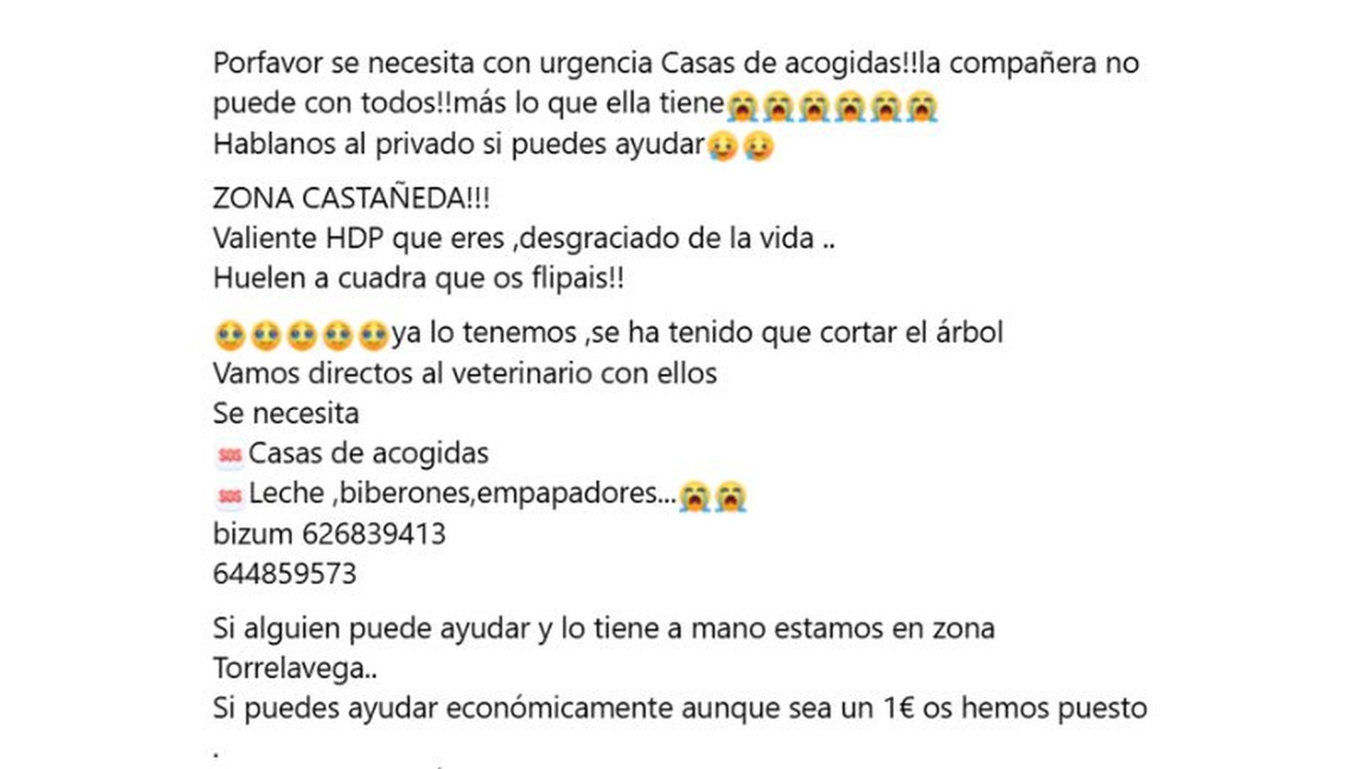 Desde 'Soytuvoz' han pedido ayuda para los cachorros