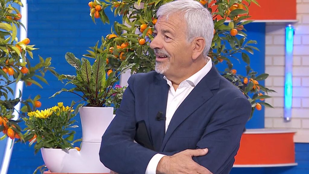 Carlos Sobera alucina con el talento secreto de una concursante de 'El precio justo': ''¡Fantástico!''