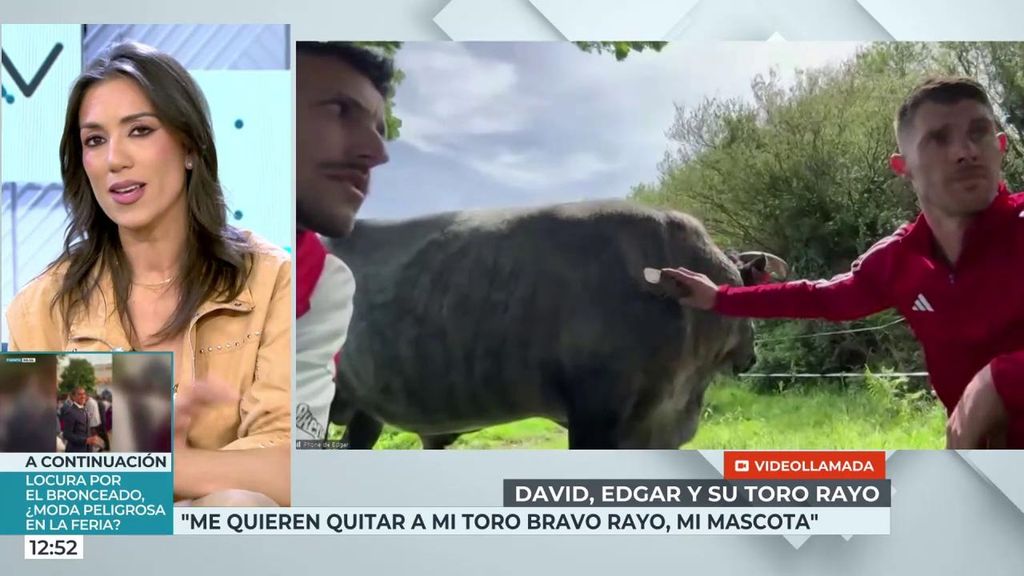 Patricia Pardo apoya a los dueños de un toro como mascota: “Este caso demuestra que no tienen que acabar torturados”