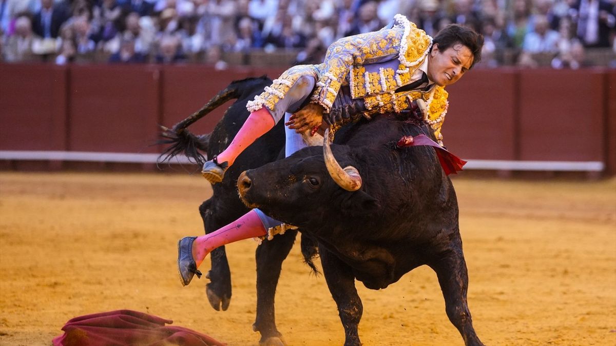 El torero Roca Rey podría estar herido de gravedad tras sufrir una cogida en Sevilla