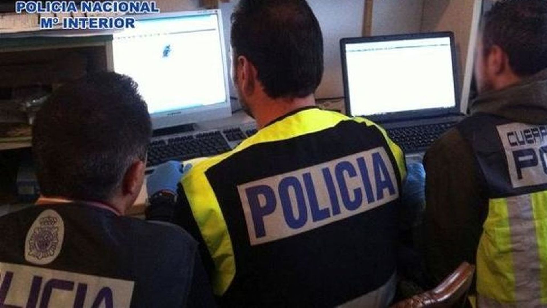 Pedófilo Pedófilo