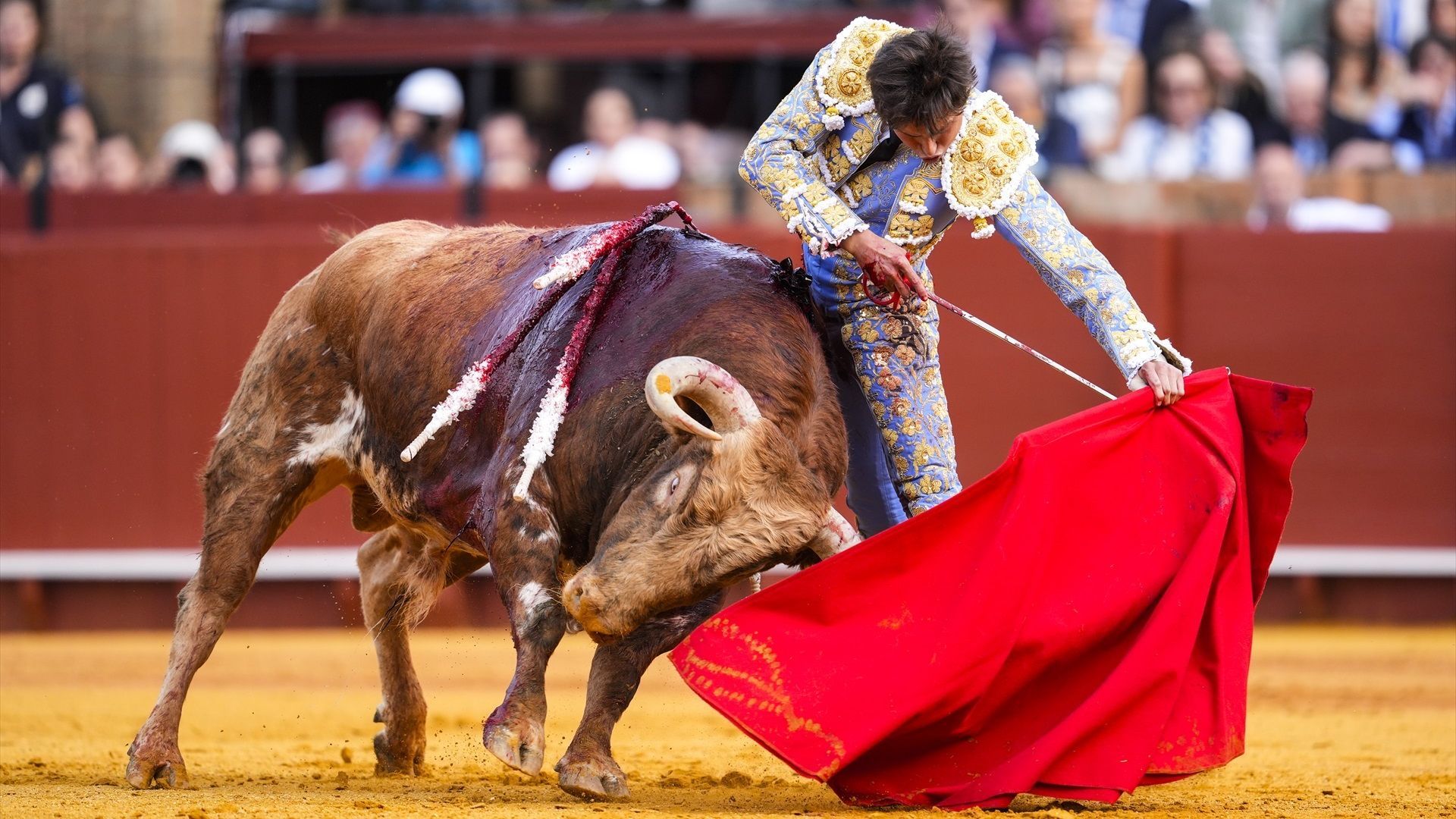 Andrés Roca Rey, durante la corrida en La Maestranza en la que sufrido una cornada