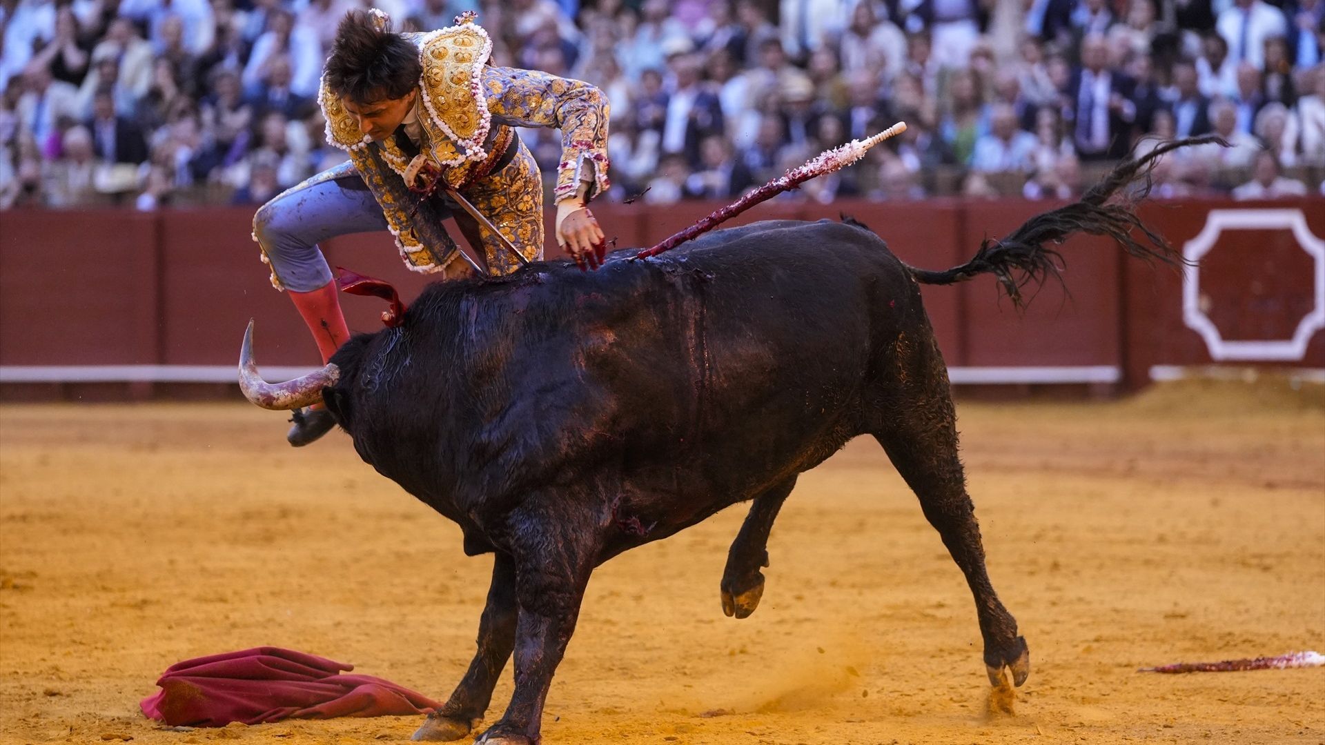 Andrés Roca Rey, siendo volteado y zarandeado por el quinto toro de la corrida del jueves en La Maestranza